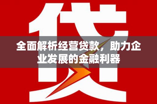 南岔全面解析经营贷款，助力企业发展的金融利器