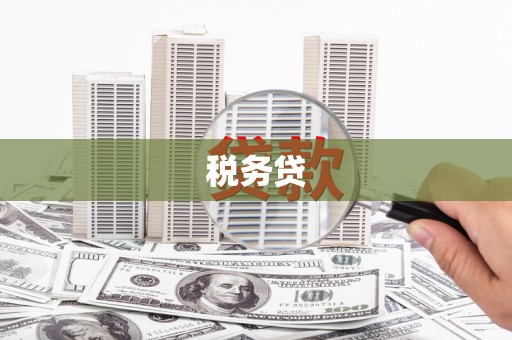 南岔税务贷