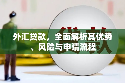 南岔外汇贷款，全面解析其优势、风险与申请流程