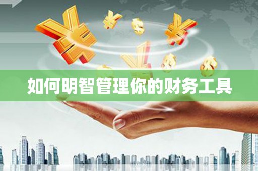 南岔如何明智管理你的财务工具