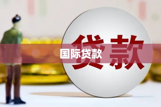 南岔国际贷款
