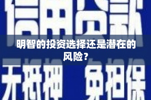 南岔明智的投资选择还是潜在的风险？