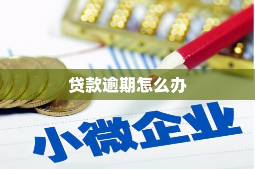 南岔贷款逾期怎么办