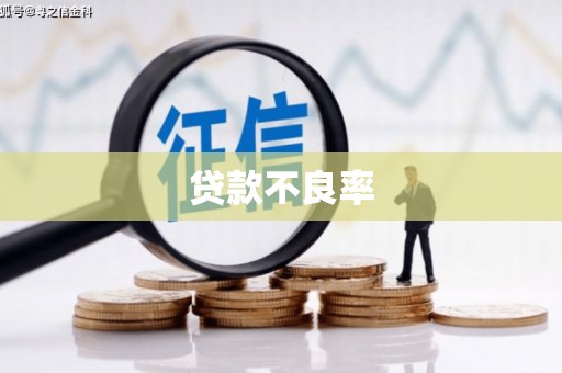 南岔贷款不良率