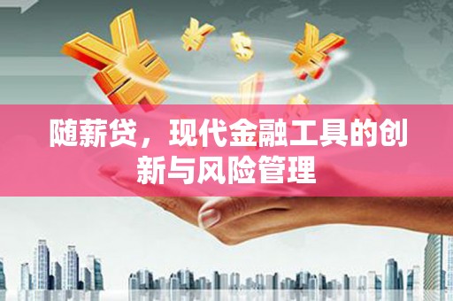 南岔随薪贷，现代金融工具的创新与风险管理