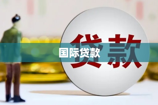 南岔国际贷款