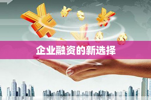 南岔企业融资的新选择