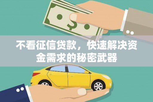 南岔不看征信贷款，快速解决资金需求的秘密武器