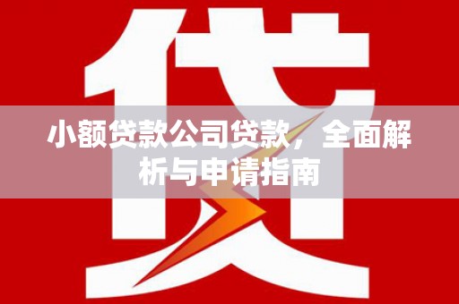 南岔小额贷款公司贷款，全面解析与申请指南