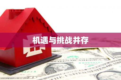 南岔机遇与挑战并存