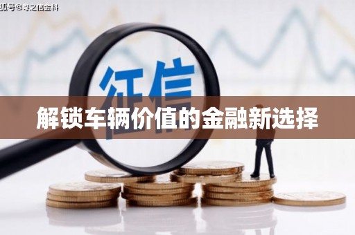 南岔解锁车辆价值的金融新选择