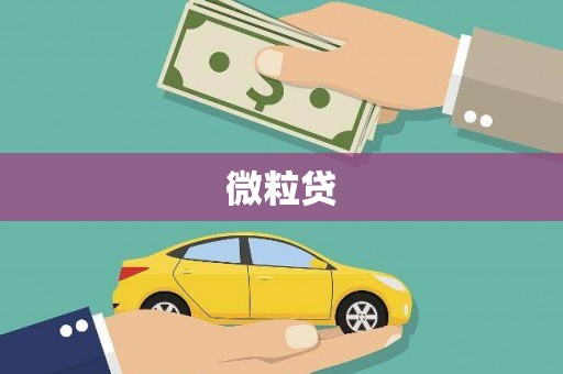 南岔微粒贷
