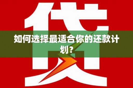 南岔如何选择最适合你的还款计划？