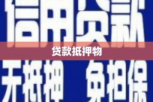 南岔贷款抵押物