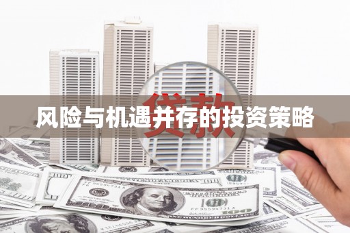 南岔风险与机遇并存的投资策略