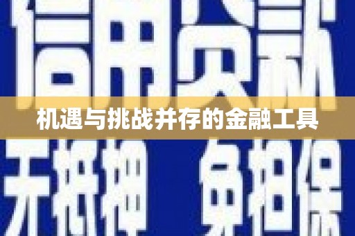 南岔机遇与挑战并存的金融工具