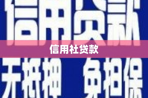 南岔信用社贷款