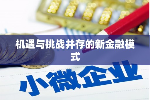 南岔机遇与挑战并存的新金融模式
