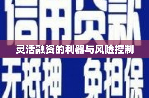 南岔灵活融资的利器与风险控制