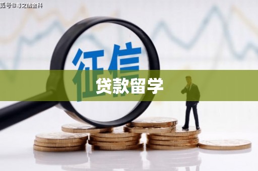 南岔贷款留学