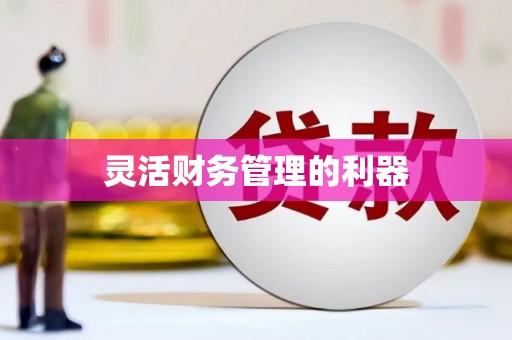 南岔灵活财务管理的利器