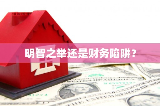 南岔明智之举还是财务陷阱？