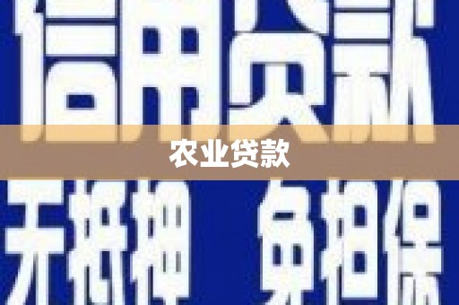 南岔农业贷款