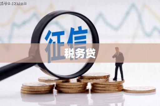 南岔税务贷