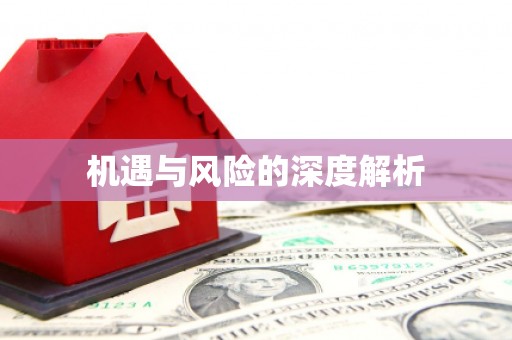 南岔机遇与风险的深度解析