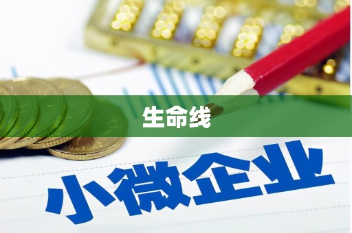 南岔生命线