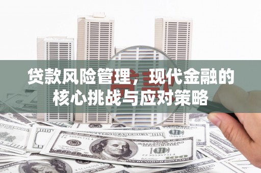 南岔贷款风险管理，现代金融的核心挑战与应对策略