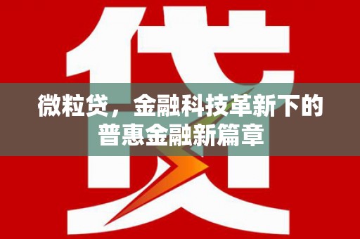 南岔微粒贷，金融科技革新下的普惠金融新篇章