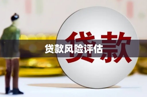 南岔贷款风险评估