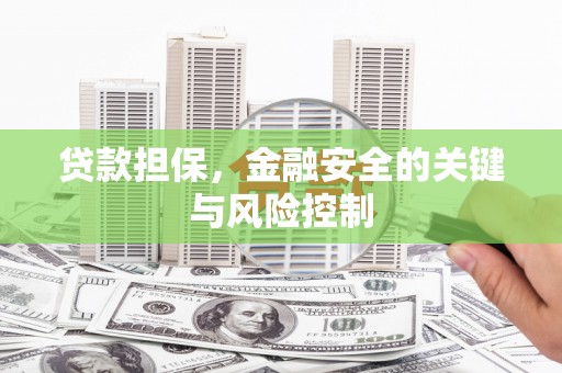 南岔贷款担保，金融安全的关键与风险控制