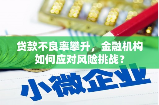 南岔贷款不良率攀升，金融机构如何应对风险挑战？