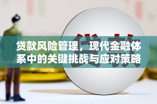 南岔贷款风险管理，现代金融体系中的关键挑战与应对策略