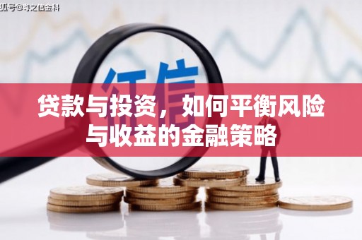 南岔贷款与投资，如何平衡风险与收益的金融策略
