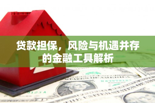 南岔贷款担保，风险与机遇并存的金融工具解析