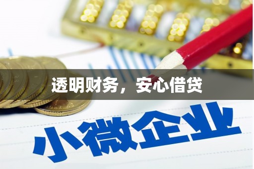 南岔透明财务，安心借贷