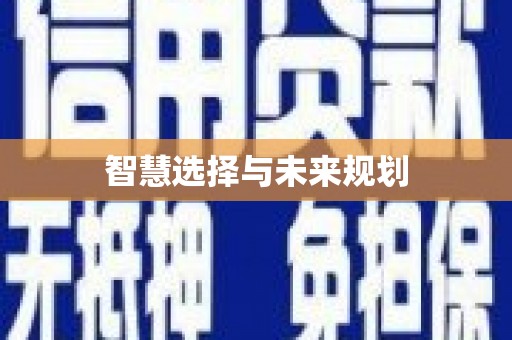南岔智慧选择与未来规划