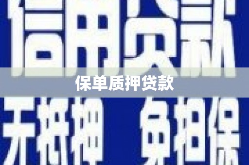 南岔保单质押贷款