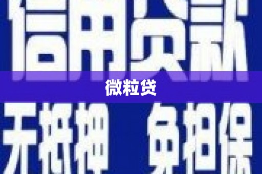 南岔微粒贷