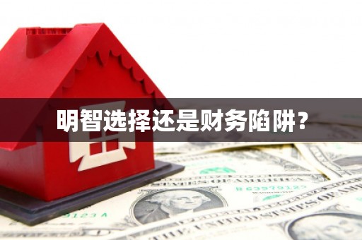南岔明智选择还是财务陷阱？