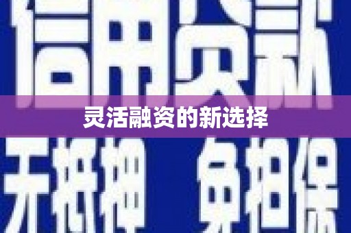 南岔灵活融资的新选择