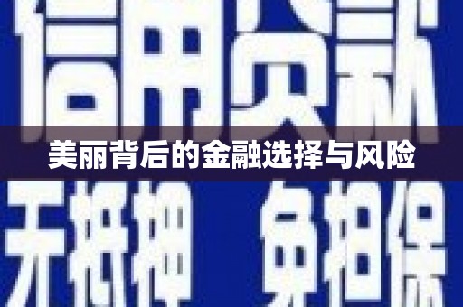 南岔美丽背后的金融选择与风险
