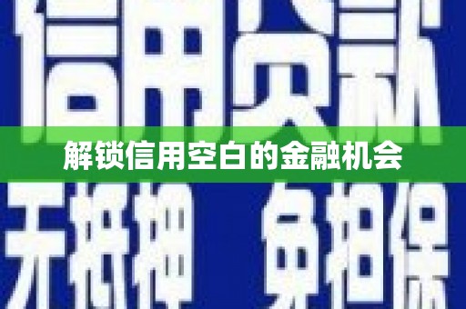 南岔解锁信用空白的金融机会