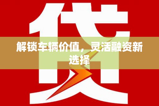 南岔解锁车辆价值，灵活融资新选择
