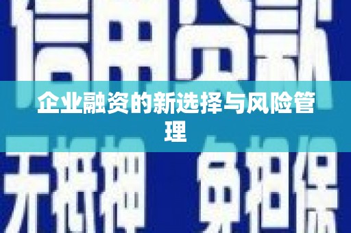 南岔企业融资的新选择与风险管理