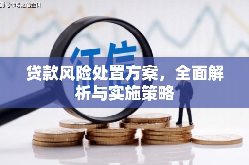 南岔贷款风险处置方案，全面解析与实施策略