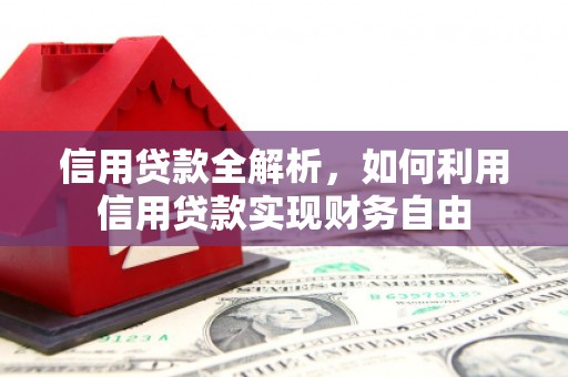 南岔信用贷款全解析，如何利用信用贷款实现财务自由